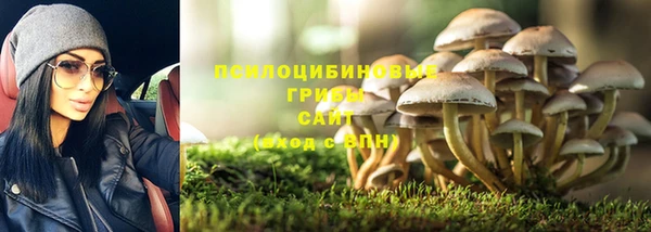 ешки Белоозёрский