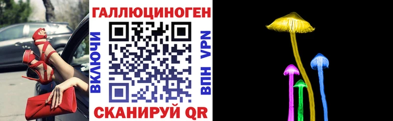 ссылка на мегу маркетплейс  наркотики  Батайск  Галлюциногенные грибы Psilocybine cubensis 